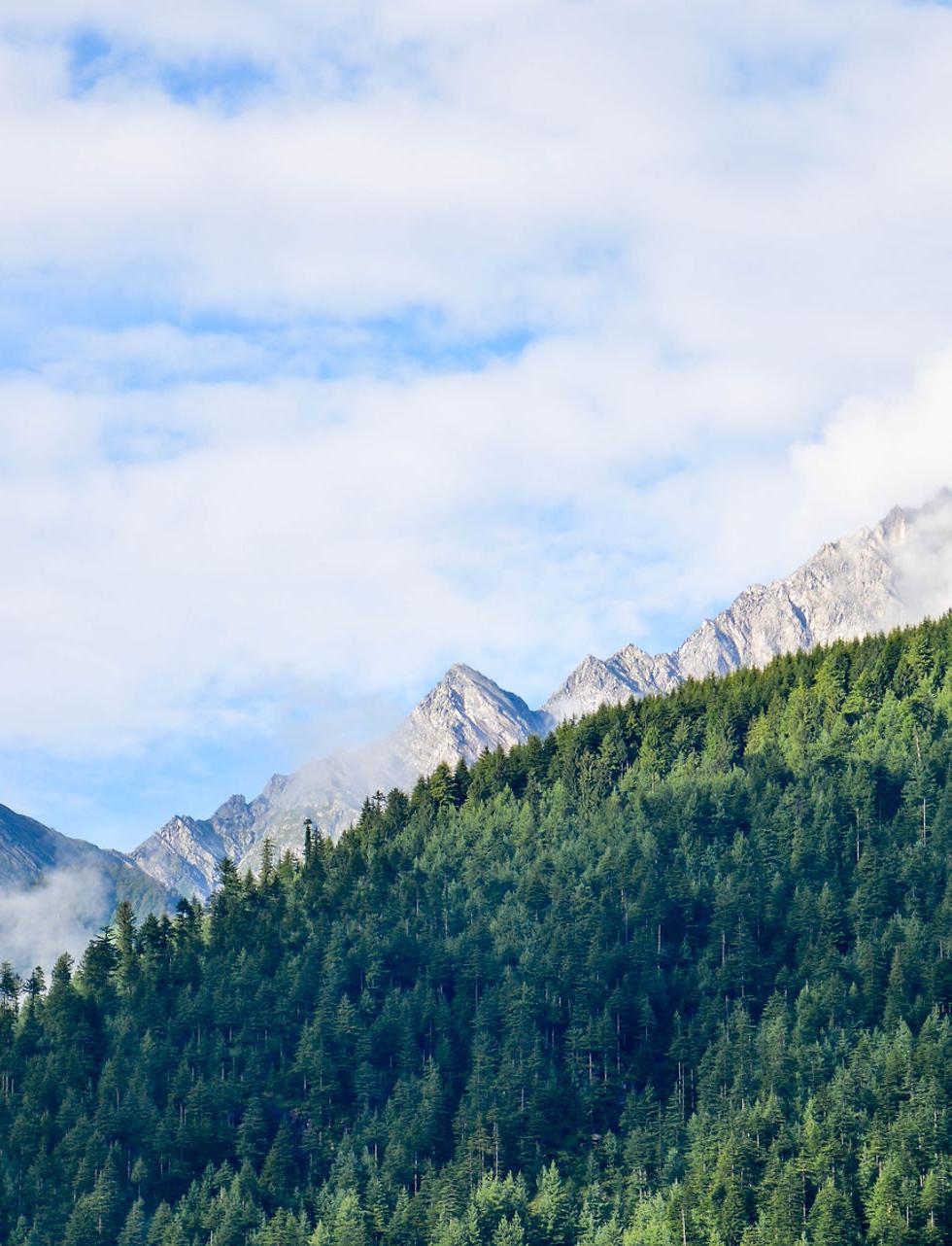 Mountain Landscape